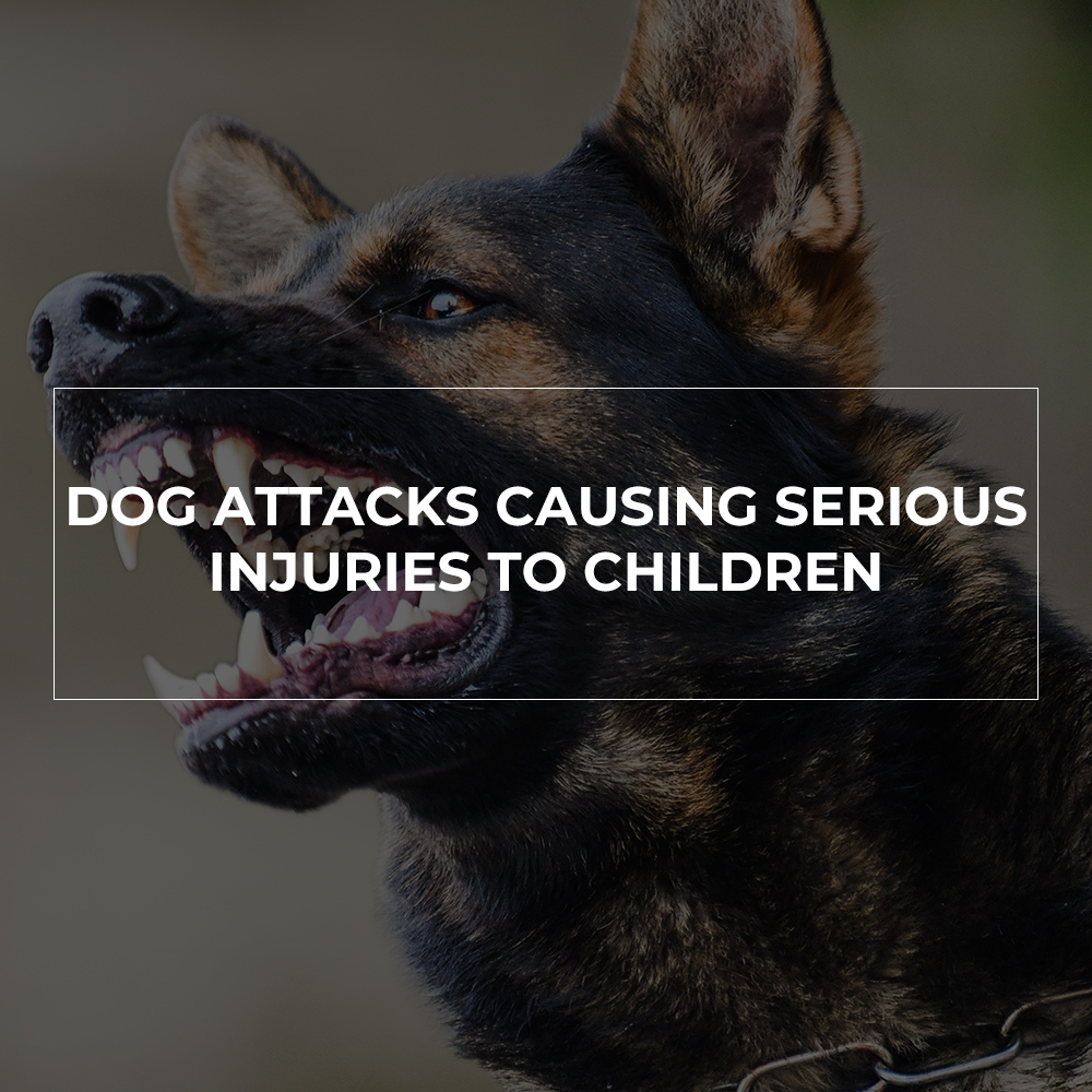 Dog Attacks Causing Serious Injuries to Children